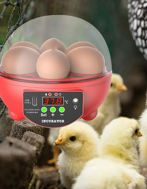 Load image into Gallery viewer, Automatic Digital Poultry Ing Machine, Automatic Egg Turner Temperature Control Small 6 Egg Incubator for Chicken Ducks Quail Red
