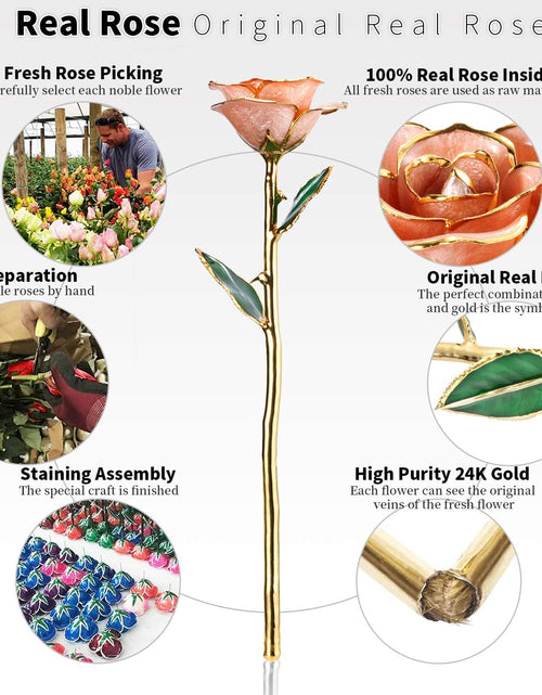 Load image into Gallery viewer, 24K Gold Rose, Gold Dipped Rose Made from Real Rose Best Gifts for Her and Great Gifts for Wife, Pink with Stand
