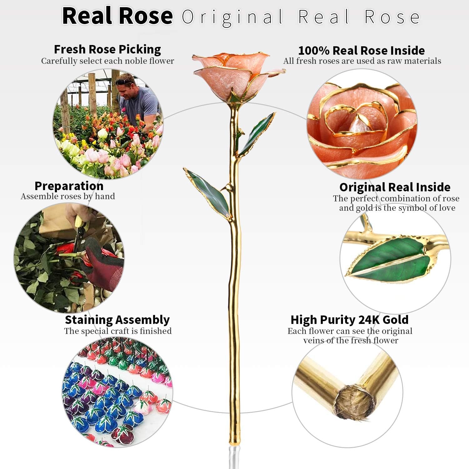 24K Gold Rose, Gold Dipped Rose Made from Real Rose Best Gifts for Her and Great Gifts for Wife, Pink with Stand