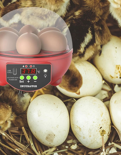 Load image into Gallery viewer, Automatic Digital Poultry Ing Machine, Automatic Egg Turner Temperature Control Small 6 Egg Incubator for Chicken Ducks Quail Red
