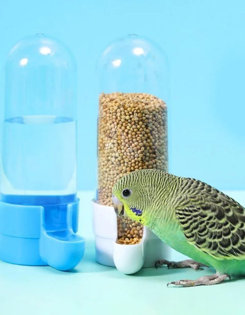 Load image into Gallery viewer, Hanging Pet Feeder Squirrel Parrot Water Dispenser Pet Bird Food Box Cage Accessories Birds Supplies
