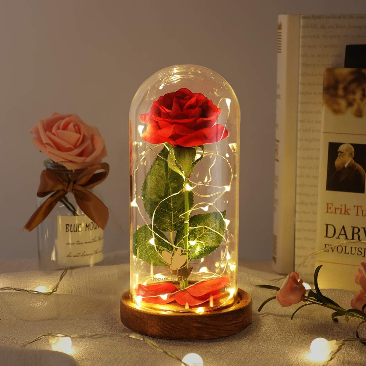 Beauty and the Beast Rose Set-The Best Holiday Surprise Gift for Mothers, Beautifully Decorated with Red Silk Roses, LED Lights, Dome Glass and Wooden Base