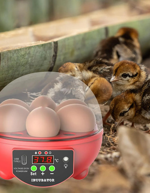 Load image into Gallery viewer, Automatic Digital Poultry Ing Machine, Automatic Egg Turner Temperature Control Small 6 Egg Incubator for Chicken Ducks Quail Red
