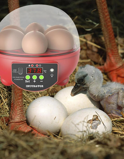 Load image into Gallery viewer, Automatic Digital Poultry Ing Machine, Automatic Egg Turner Temperature Control Small 6 Egg Incubator for Chicken Ducks Quail Red
