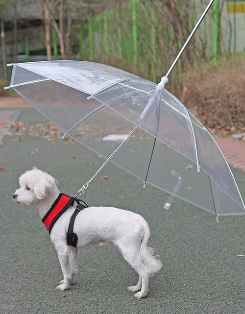 Load image into Gallery viewer, 2022 New Pet Umbrella Leash Rainproof Snowproof Dog Umbrella Leash for Small Dogs Adjustable Doggy Umbrella
