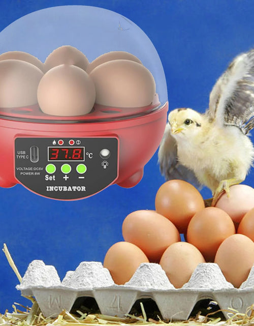 Load image into Gallery viewer, Automatic Digital Poultry Ing Machine, Automatic Egg Turner Temperature Control Small 6 Egg Incubator for Chicken Ducks Quail Red
